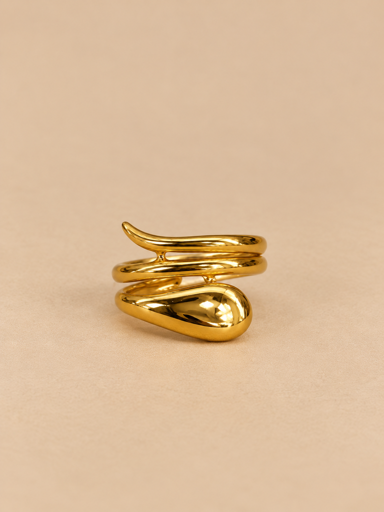 Anillo Vela
